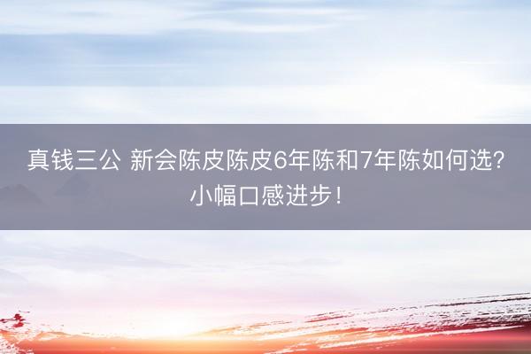 真钱三公 新会陈皮陈皮6年陈和7年陈如何选？小幅口感进步！